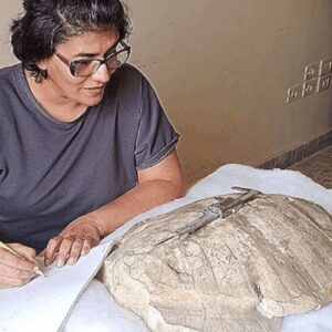 suriyede 50 milyon yillik canli tur kesfedildi wYk6Zh2I