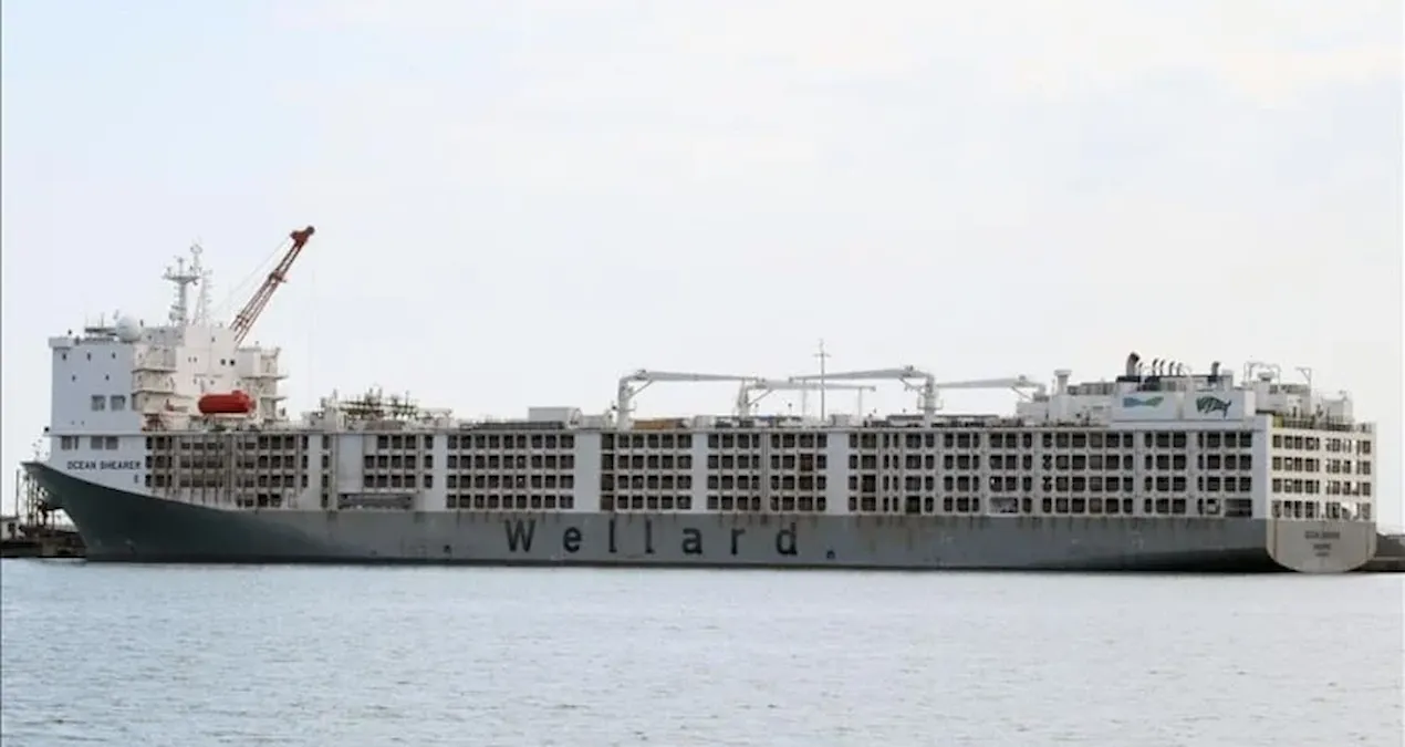 apar topar avrupanin kapisi calindi yil bitmeden yuz binlercesi turkiyeye gelecek jE58uXYM