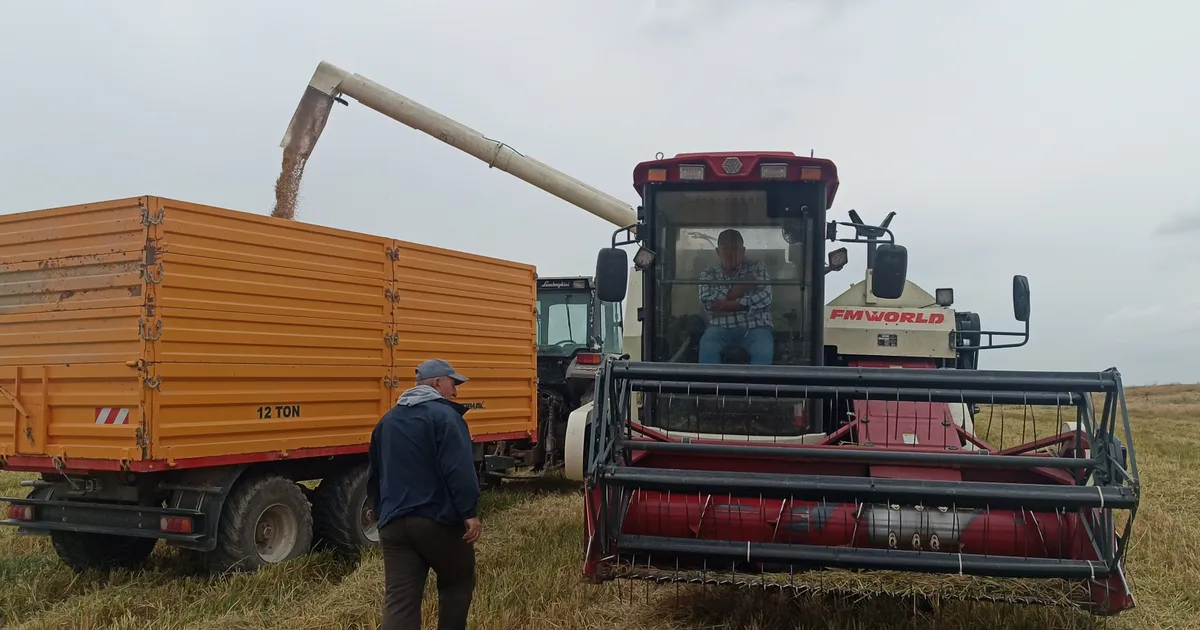 tarimda devrim dunyada ilk damlama sulama ile celtik uretimi uiKTfe8N