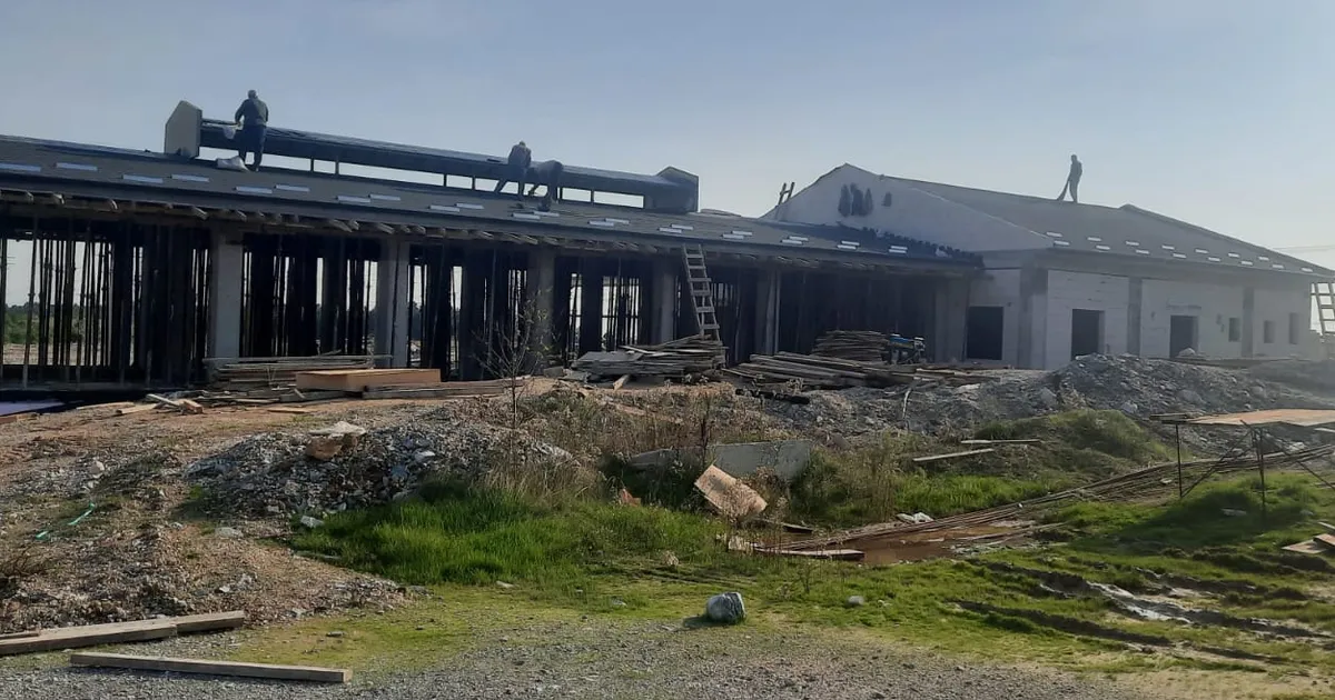 izmitten sokak hayvanlarina modern yasam alani WLDHV6qh.webp